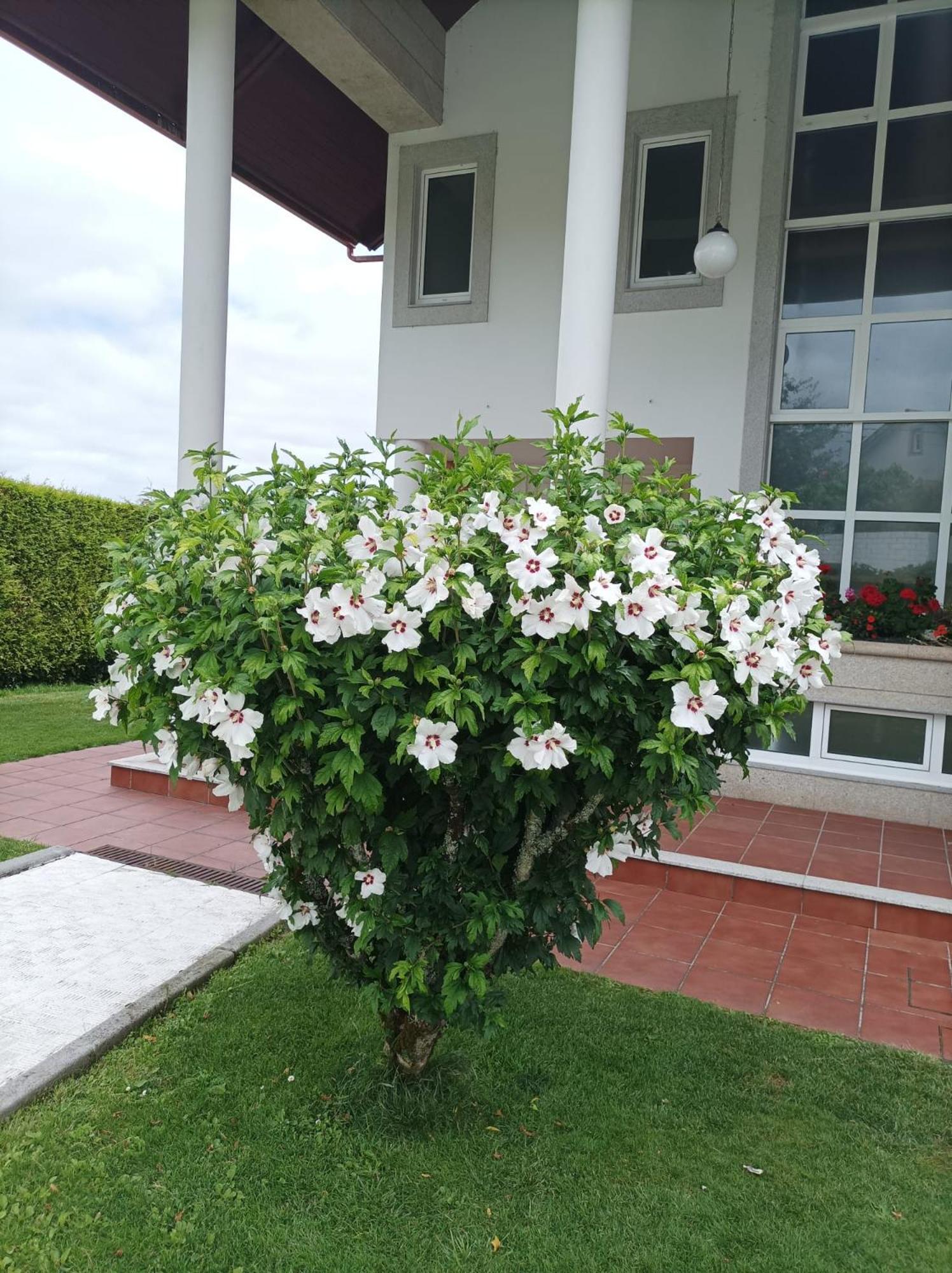 Casa D Aitana Casa de Férias